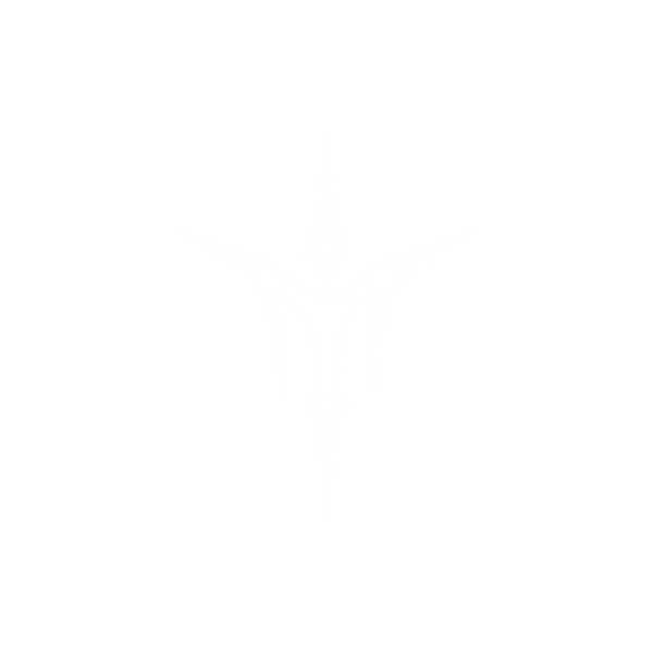 forbiddenwingZ